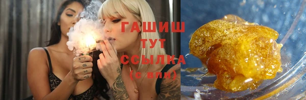 крисы Козельск