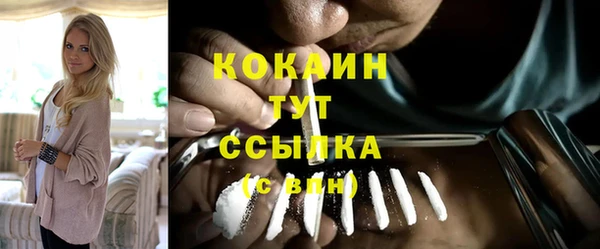крисы Козельск