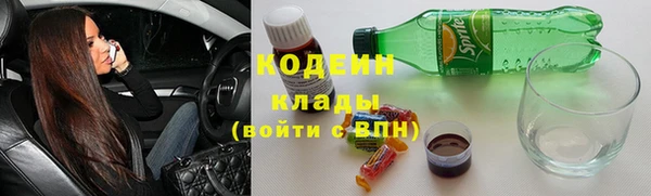 мдпв Карпинск