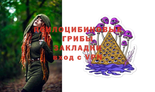 крисы Козельск