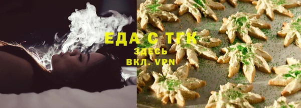 мдпв Карпинск