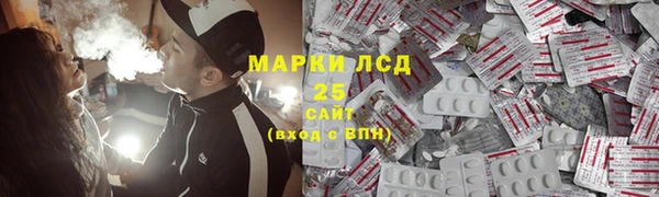 крисы Козельск