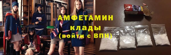 крисы Козельск