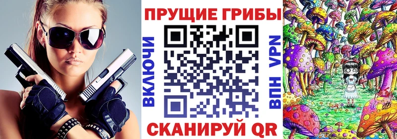 закладка  Ленск  Псилоцибиновые грибы Cubensis 